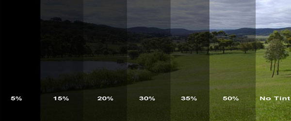 Window Tint Diagram